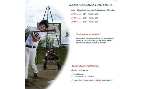 Journées de la Ligue BZH